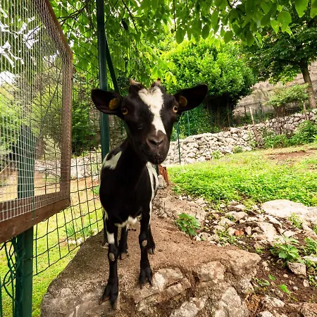 Margherita-1 By Interhome 公寓